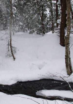 Deep Snow at the Chateaugay State Forest